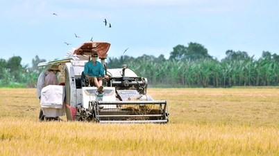 Can Tho acoge Segundo Festival Internacional de la Industria del Arroz de Vietnam